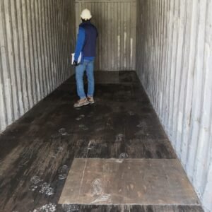 WhatsApp Image 2026-03-04 at 11.37.45 AM